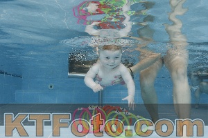 Photo 4263082