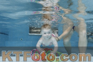 Photo 4263083