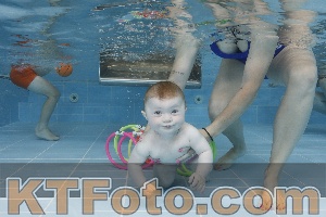 Photo 4263085
