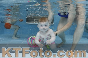 Photo 4263086