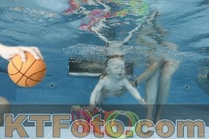 Photo 4263087