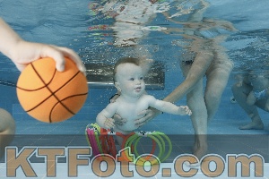 Foto 4263089