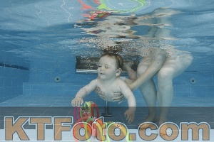 Foto 4263093