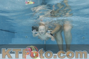 Photo 4263098