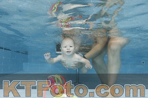 Photo 4263099