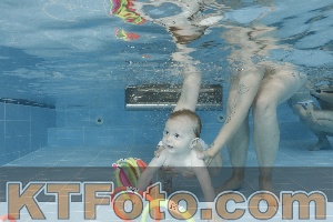 Photo 4263101