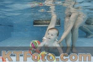 Photo 4263102