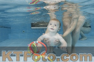 Photo 4263103