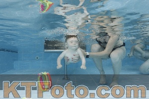 Photo 4263104