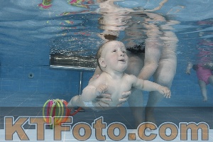 Foto 4263110