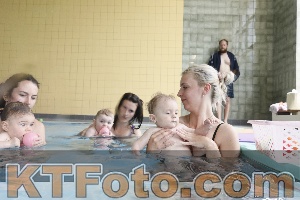 Photo 4263125
