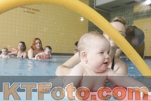 Photo 4263139