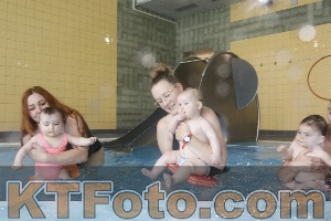 Photo 4263166