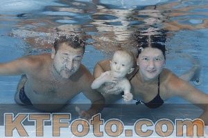 Photo 4263185