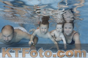 Photo 4263196
