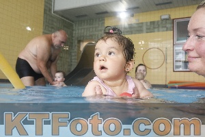Photo 4263297