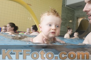 Photo 4263308