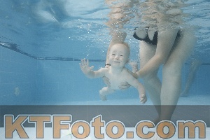 Photo 4263333