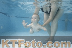 Photo 4263334