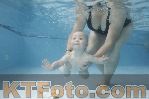 Photo 4263335