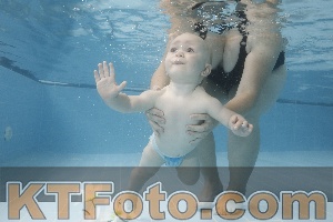 Photo 4263336