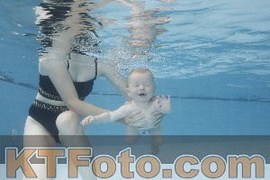 Photo 4263338