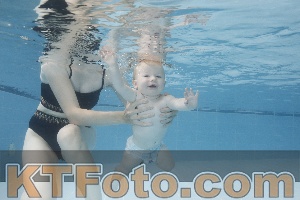 Photo 4263339