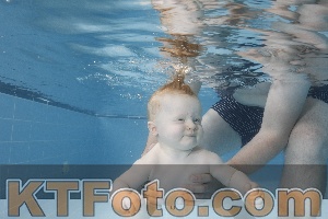 Photo 4263340