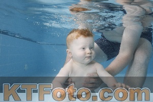 Photo 4263341