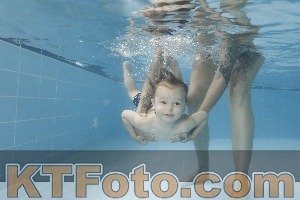 Photo 4263343