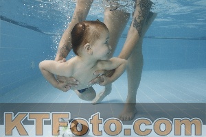 Photo 4263345