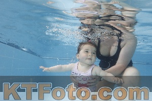 Photo 4263347
