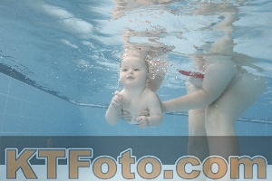 Photo 4263350