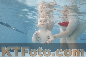 Photo 4263351