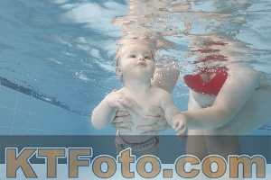 Photo 4263352