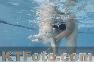 Photo 4263353