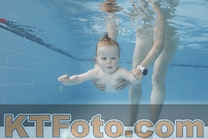 Foto 4263358