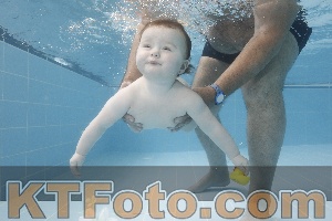 Foto 4263362