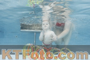 Photo 4263368