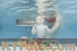 Photo 4263369