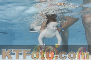 Photo 4263370