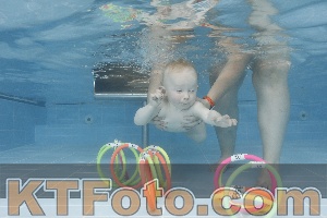 Photo 4263372