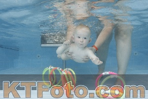 Photo 4263373