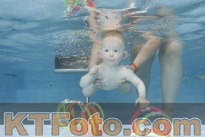 Photo 4263374