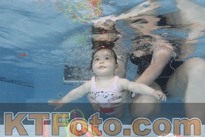 Photo 4263376