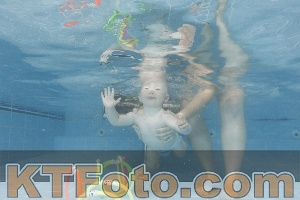 Photo 4263378
