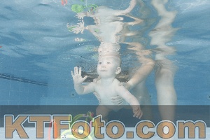 Photo 4263379