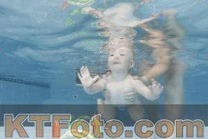 Photo 4263380