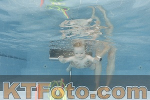 Photo 4263381