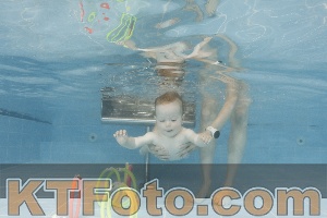 Photo 4263382